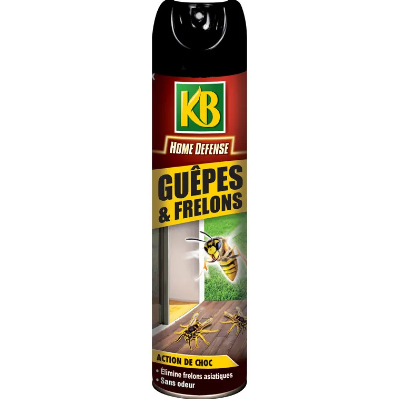 Sale Aerosol guepes et frelons 400ml Anti-Nuisibles|Anti Nuisible