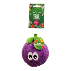 Best Balle fruit pour chien Accessoire Été
