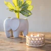 Best Bougie citronnelle pot en verre Objets Décoratifs