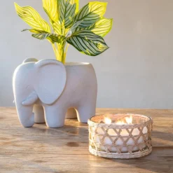 Best Bougie citronnelle pot en verre Objets Décoratifs