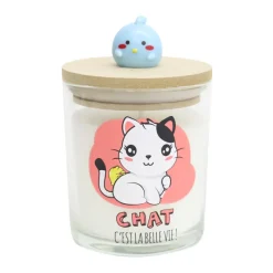 Outlet Bougie kawaii top bois Pour Elle