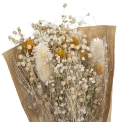 Online Bouquet fleurs sechees Fleur, Plante Artificielle