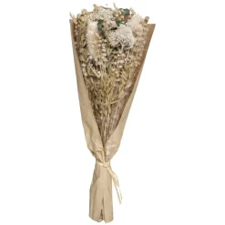 Online Bouquet fleurs sechees Fleur, Plante Artificielle