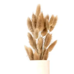 Clearance Bouquet lagurus Fleur, Plante Artificielle