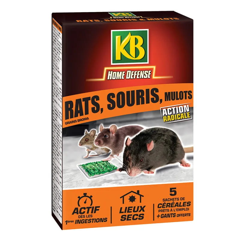 Outlet Cereales anti rats souris et mul Anti-Nuisibles|Anti Nuisible