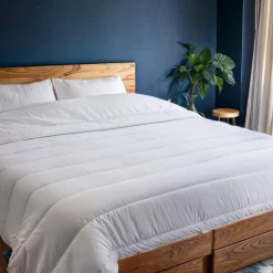 Best Couette 220x240 anti punaise ant Linge De Lit·Couette