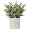 Outlet Eucalyptus artificiel en pot Fleur, Plante Artificielle