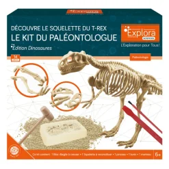 Sale Explora paleontologue - stegosau Enfant Loisirs Créatifs|Loisirs Créatifs