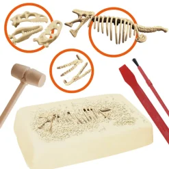 Sale Explora paleontologue - stegosau Enfant Loisirs Créatifs|Loisirs Créatifs