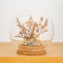 Hot Fleurs sechees boule verre Objet Décoratif