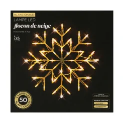 Flocon lum int Décoration Lumineuse