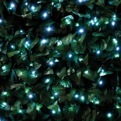 Guirlande 60 led solaire blanc f Décoration Lumineuse