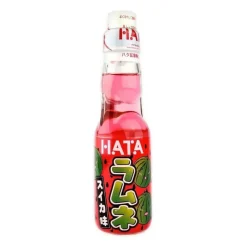 Best Hata boisson pasteque 20cl Boisson Aux Fruits