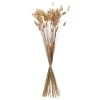 Clearance Lagurus 50cm Fleur, Plante Artificielle