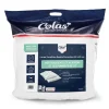 Clearance Lot 2 oreillers 60x60 anti punai Linge De Lit·Oreiller