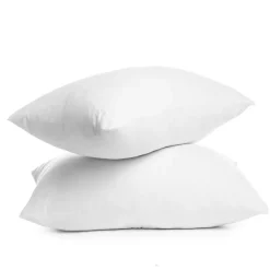 Clearance Lot 2 oreillers 60x60 anti punai Linge De Lit·Oreiller