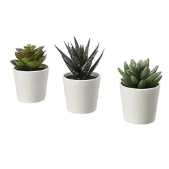 Lot 3 succulentes artificielles Fleur, Plante Artificielle
