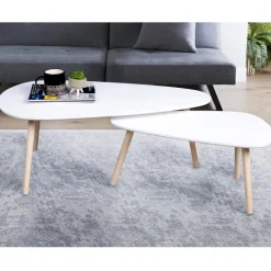 Discount Lot 2 tables basses Salon