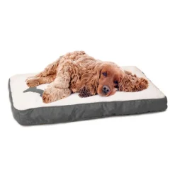 Clearance Matelas pour chien gris 100x70cm Couchage Chien