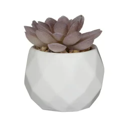 Outlet Mini succulente artificielle Fleur, Plante Artificielle