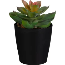 Outlet Mini succulente dans pot noir Fleur, Plante Artificielle