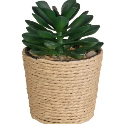 New Mini succulente pot tresse Fleur, Plante Artificielle