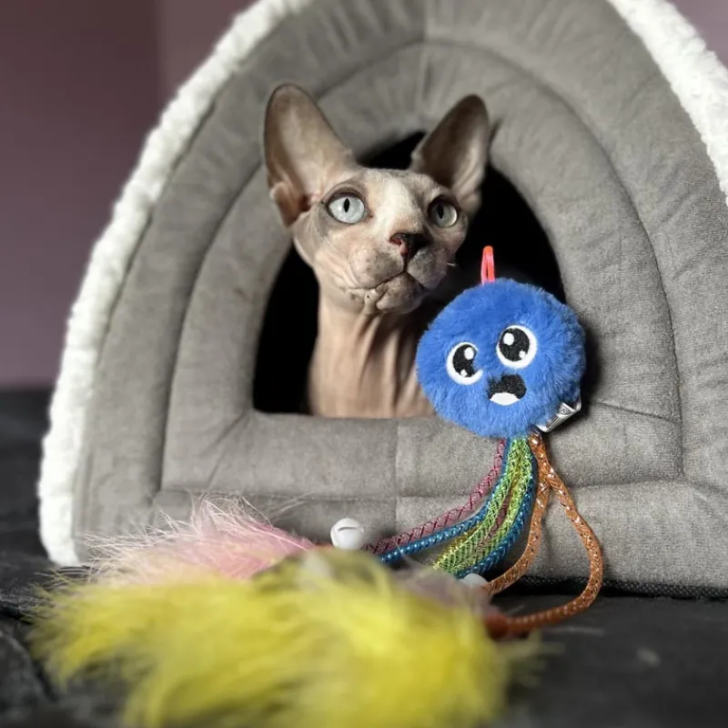 Clearance pieuvre avec poche a herbe Jouet Chat