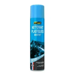 Nettoyant auto plastique menthe Automobile