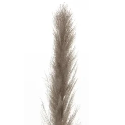 Online Pampa 145cm Fleur, Plante Artificielle