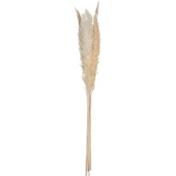 Online Pampa naturel x6 h65cm Fleur, Plante Artificielle