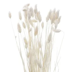 Discount Phalaris 50cm Fleur, Plante Artificielle