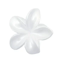 Clearance Pince cheveux hawai Accessoire Beauté
