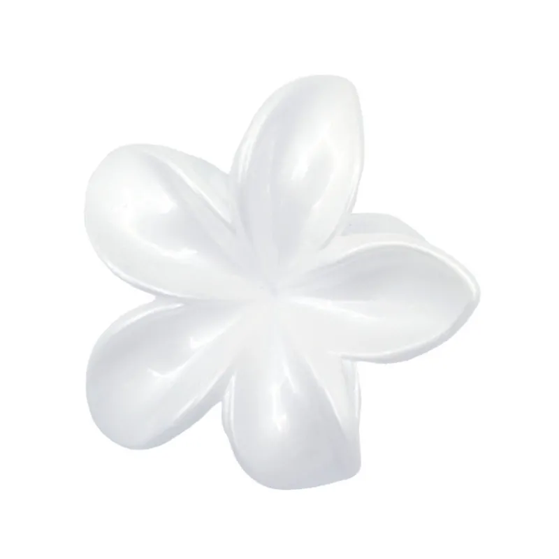 Clearance Pince cheveux hawai Accessoire Beauté