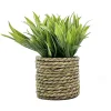 Discount Plante artificielle pot jonc Fleur, Plante Artificielle