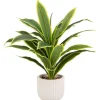 Sale Plante verte pot nervure Fleur, Plante Artificielle