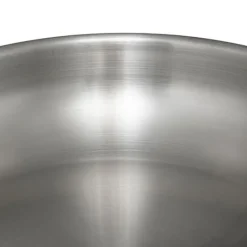 Best Poele 24cm inox resilience Casserole, Poêle