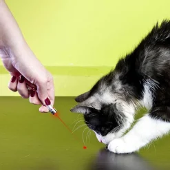 Outlet Porte cles lampe torche + laser Jouet Chat