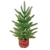 New Sapin en pot 45 cm Sapin