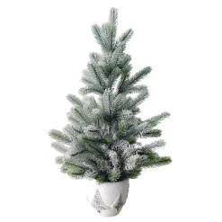 Best Sapin en pot 66 cm Sapin