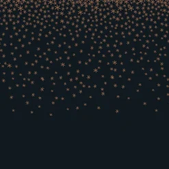 Best Serviette x20 paillettes noir or Vaisselle Jetable