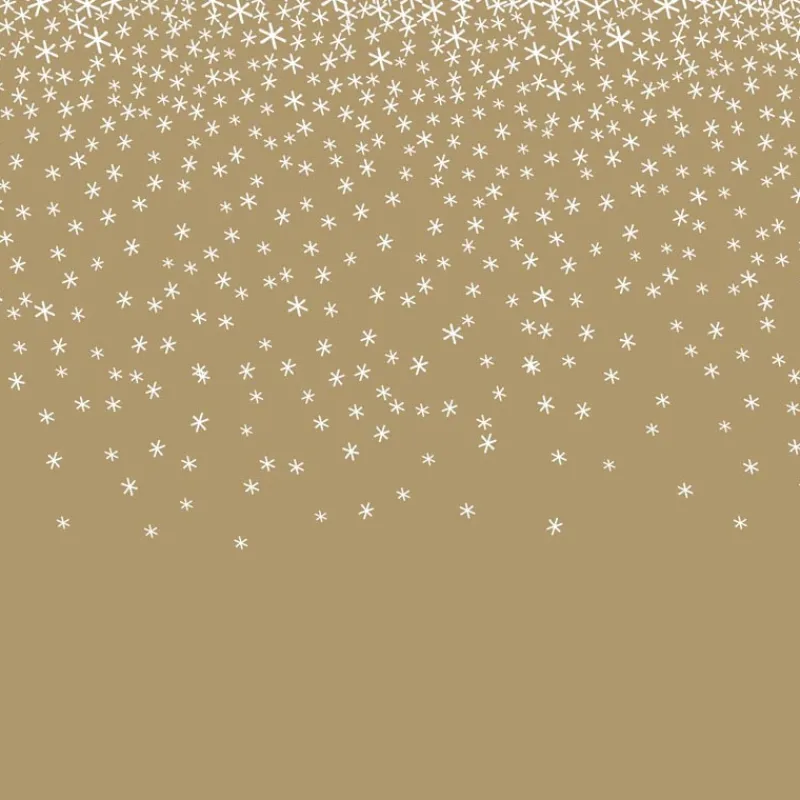 Discount Serviette x20 40x40 3plis paille Vaisselle Jetable