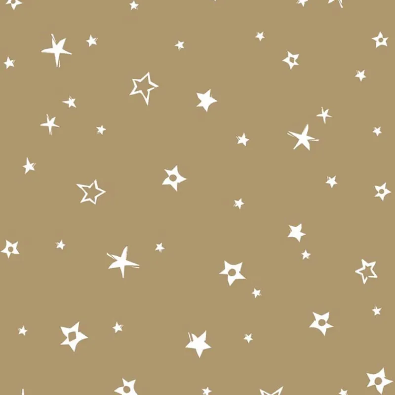 Serviette x50 33x33 2plis villag Vaisselle Jetable