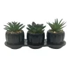 Hot Set de 3 succulentes Fleur, Plante Artificielle