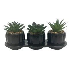 Hot Set de 3 succulentes Fleur, Plante Artificielle