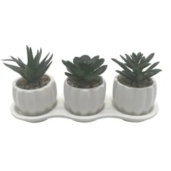 Hot Set de 3 succulentes Fleur, Plante Artificielle