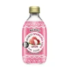 Hot Soda japonais litchi 29cl Thé Glacé
