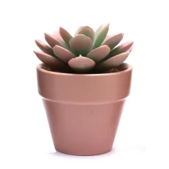 Discount Succulente artificielle en pot Fleur, Plante Artificielle
