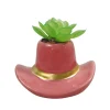 Discount Succulente chapeau cowboy Fleur, Plante Artificielle