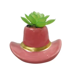 Discount Succulente chapeau cowboy Fleur, Plante Artificielle