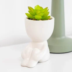 Succulente en pot Fleur, Plante Artificielle